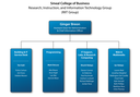 RIIT Group Organizational Chart